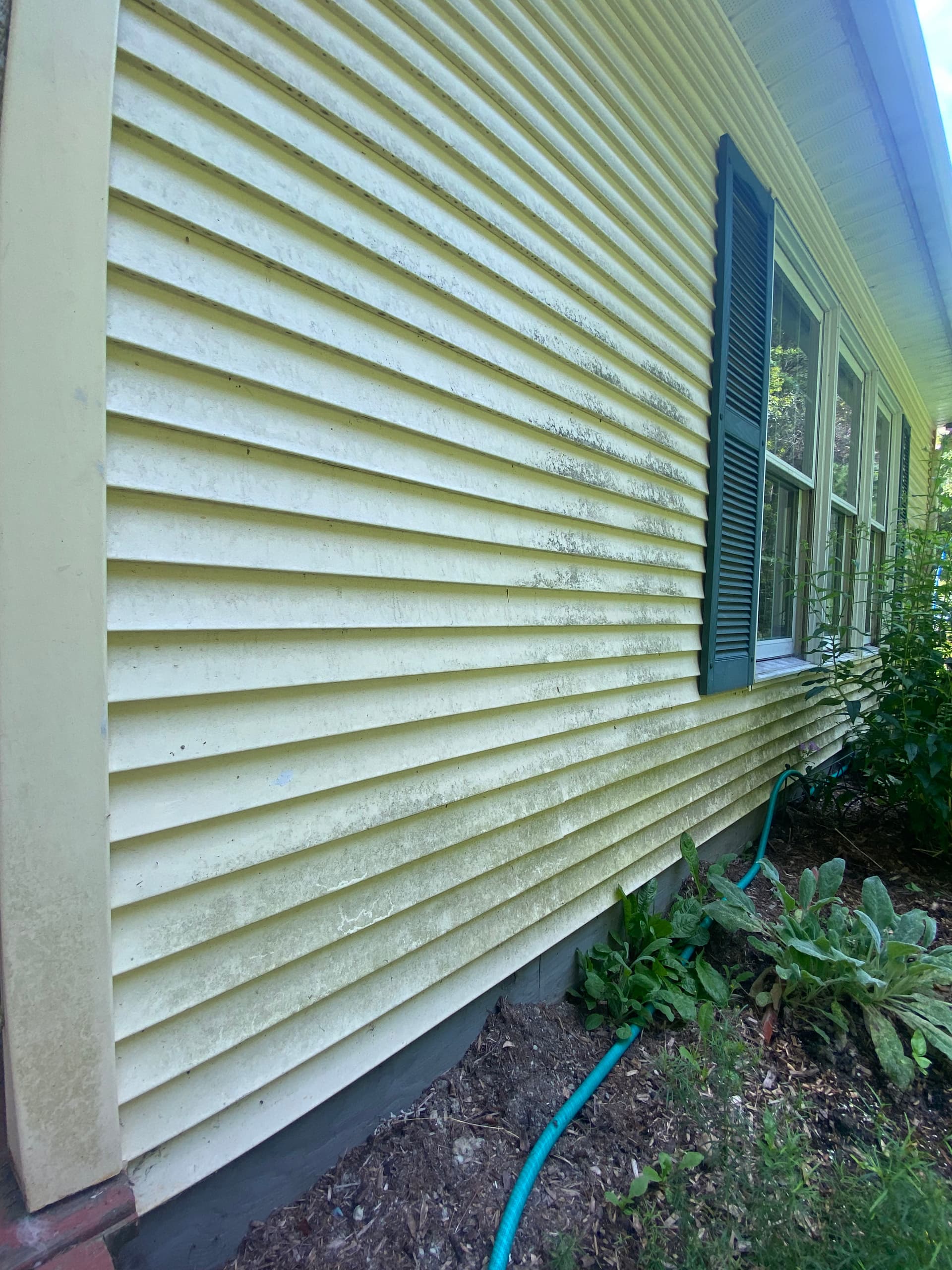 Gallery photos for Sparkling Soft Wash Reveal in Calais and Montpelier: Image #6