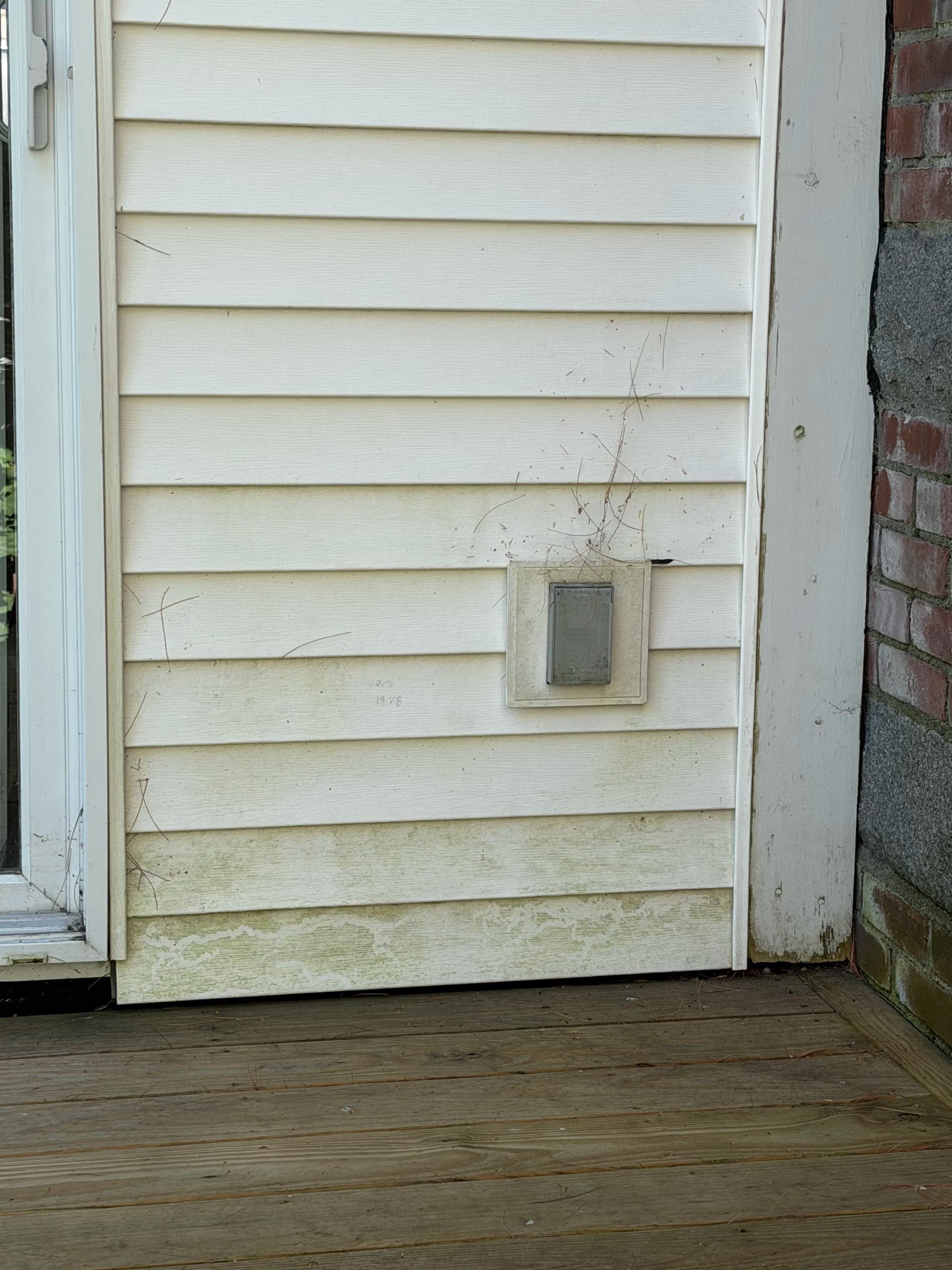Vinyl Siding Soft Wash Clears Green Grime in Montpelier image