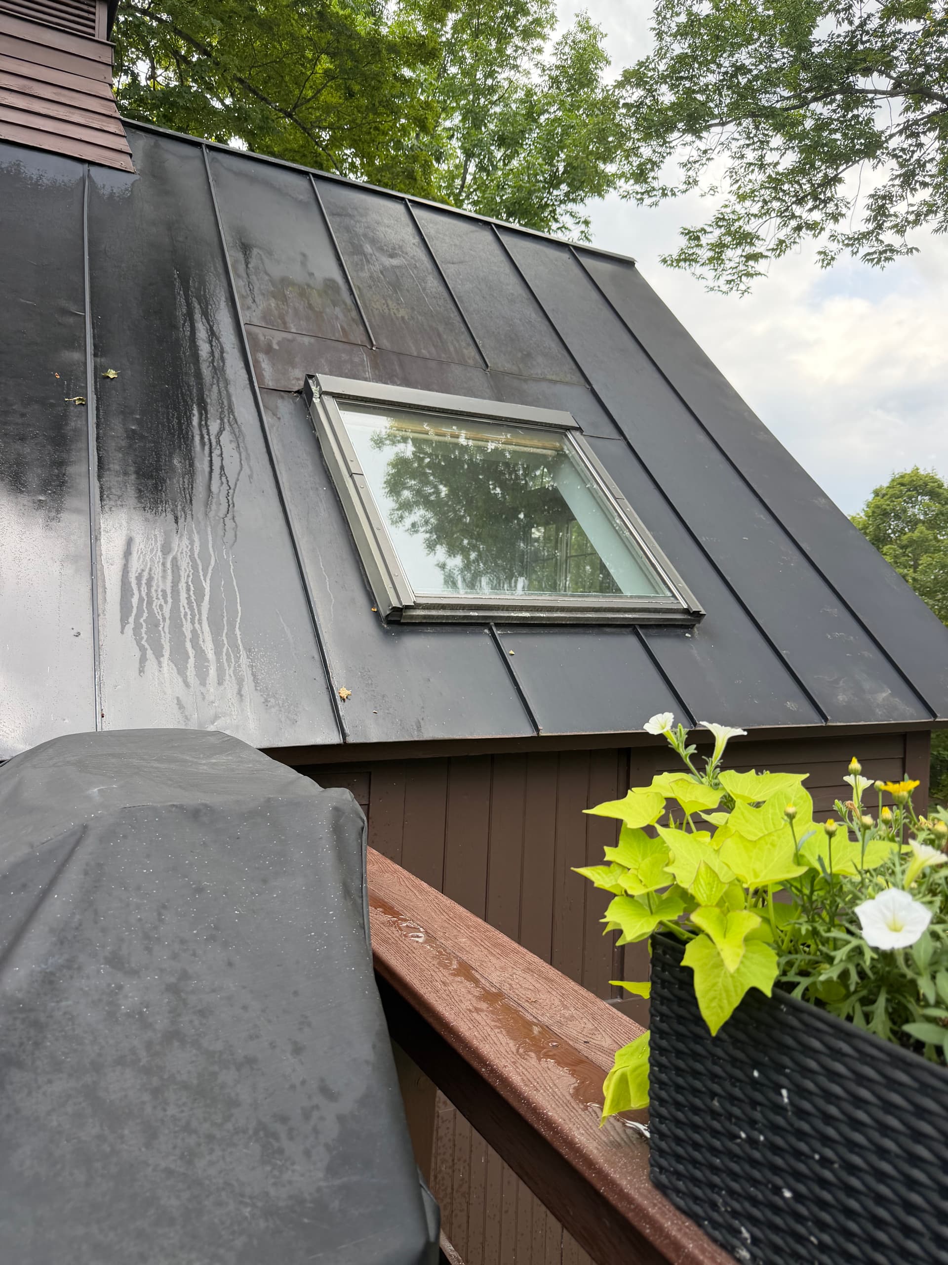 Gallery photos for House Wash and Roof Soft Wash in Woodstock VT: Image #6