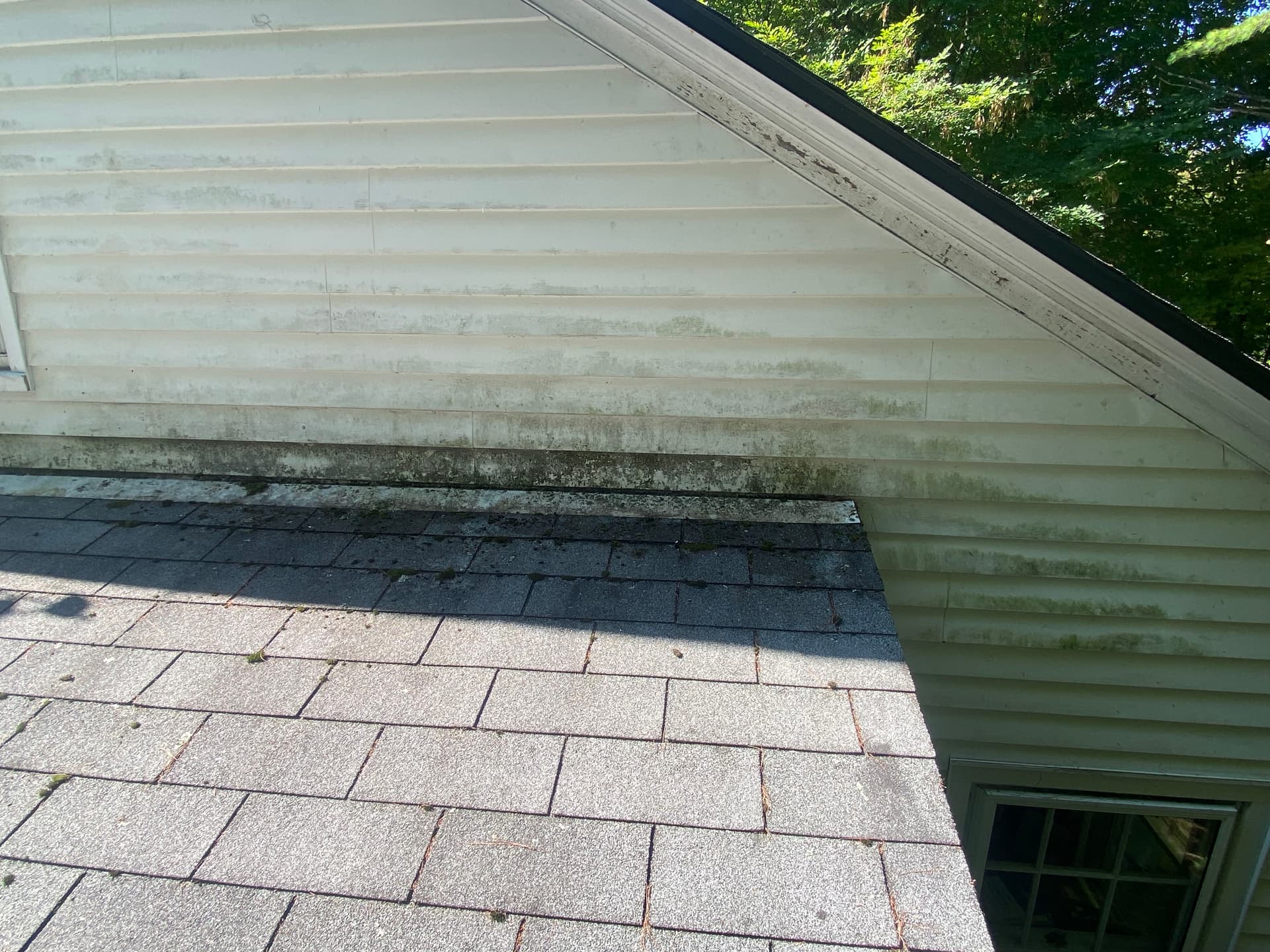Siding Soft Washing - From Grimy to Gleaming in Vermont image