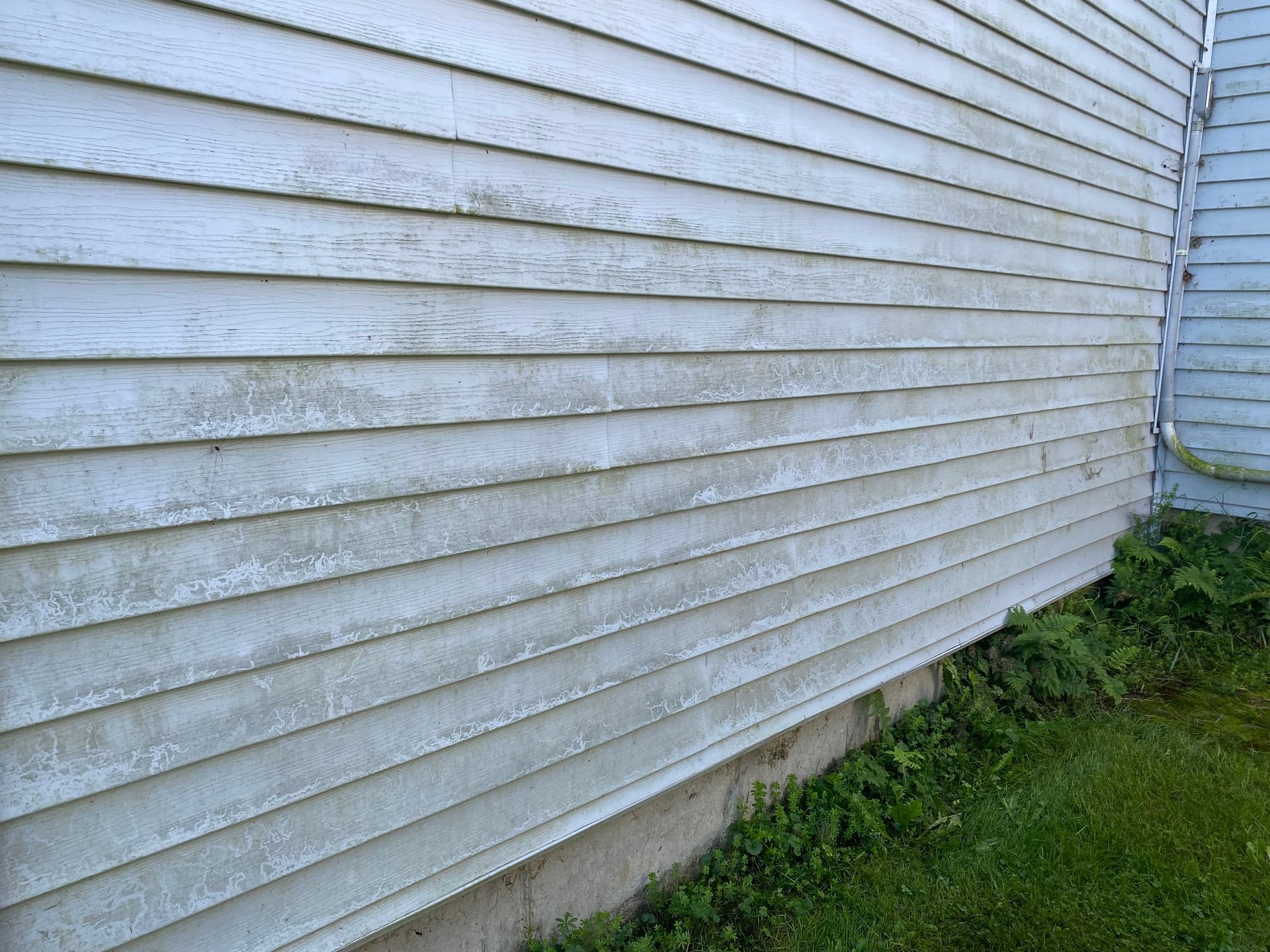 Gallery photos for Siding Soft Washing - From Grimy to Gleaming in Vermont: Image #6